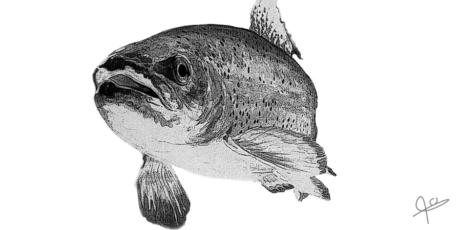 Thumbnail Image 1