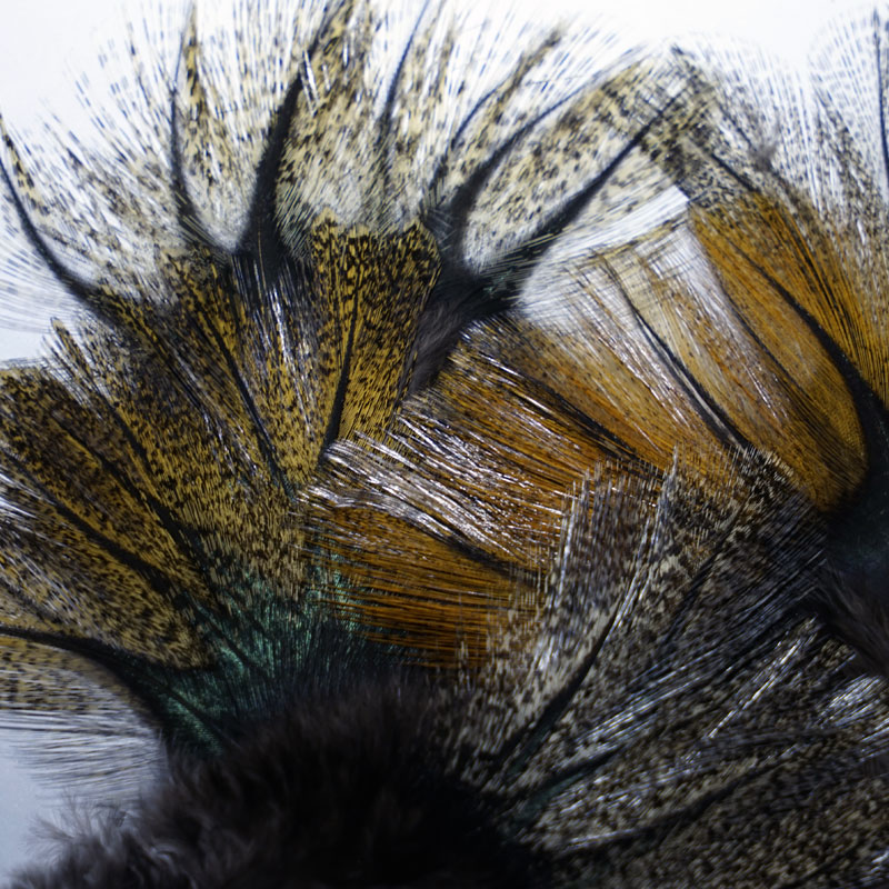 les plumes de coq Pardo et Indio