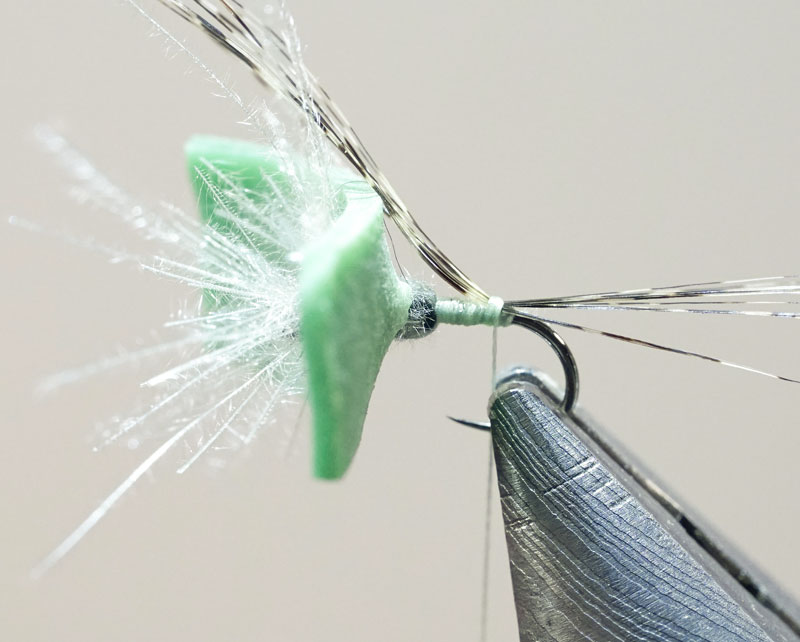 Thumbnail Image 1