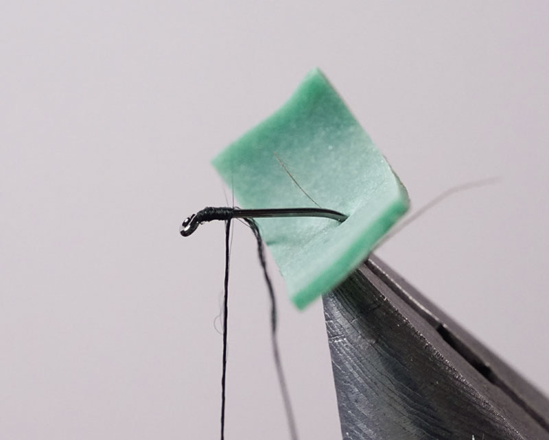Thumbnail Image 1