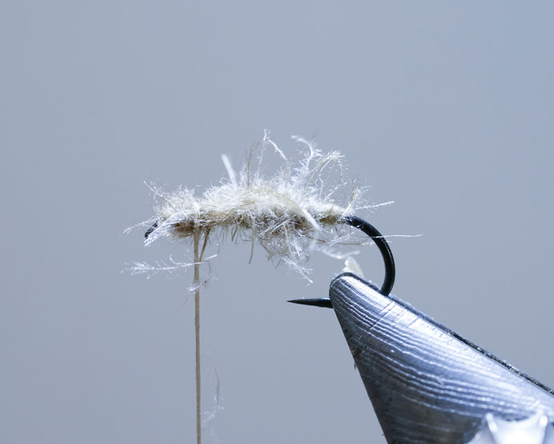 Thumbnail Image 1