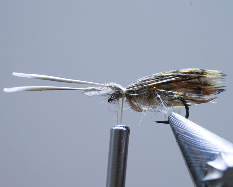 Thumbnail Image 1