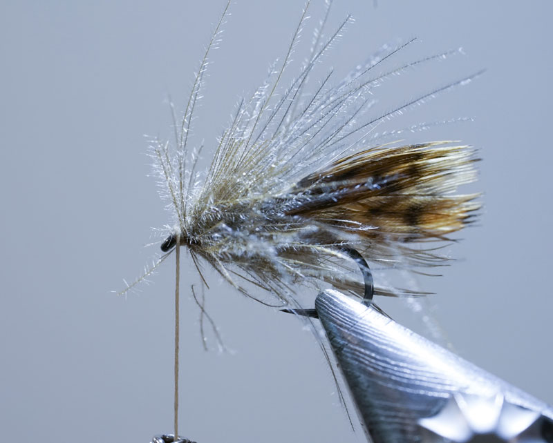 Thumbnail Image 1