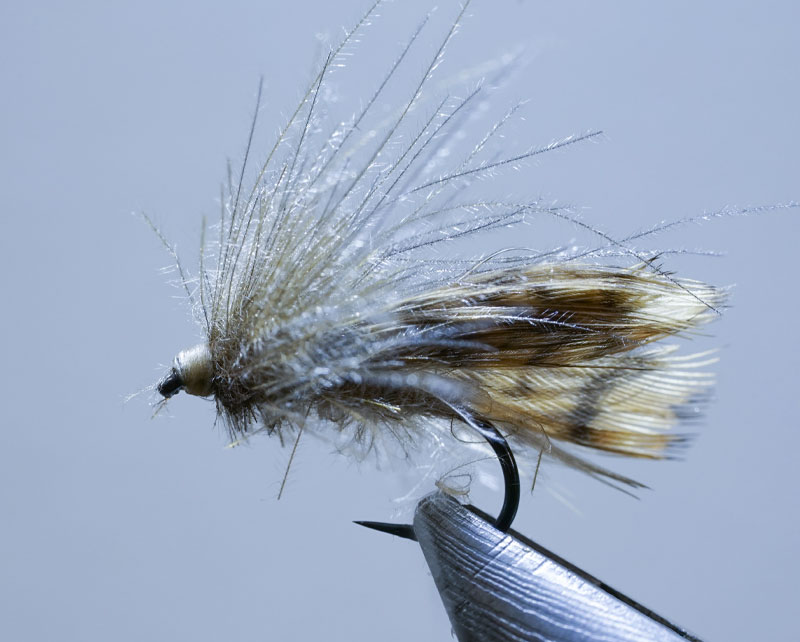 Thumbnail Image 1
