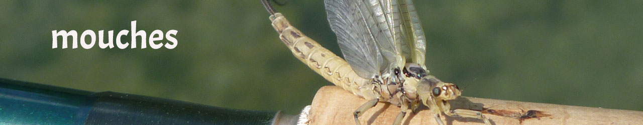 First slide image
